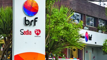 Investigan importaciones avícolas desde Brasil
