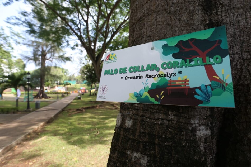 El parque Omar ahora es interactivo