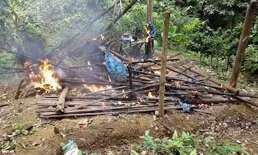Mineros talaron 2 mil metros de selva en área protegida de Darién