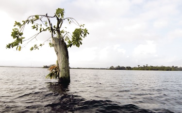 Embalses de Panamá, los más afectados del mundo