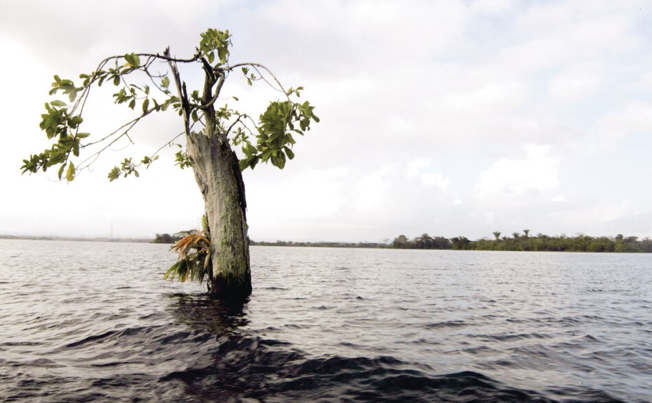 Embalses de Panamá, los más afectados del mundo