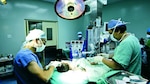 Sin las cadenas de la epilepsia