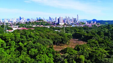 Procurador: límite de reserva es ilegal