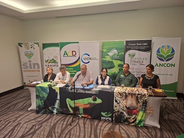 Más de 50 organizaciones reclaman a la Asamblea un proceso transparente para elegir al próximo defensor del Pueblo