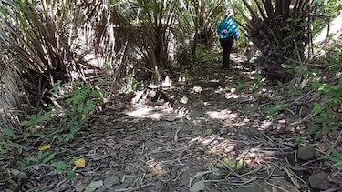 Los caminos ancestrales y el turismo moderno