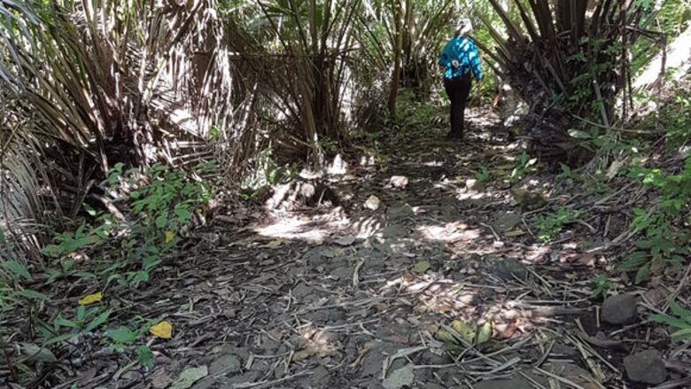Los caminos ancestrales y el turismo moderno
