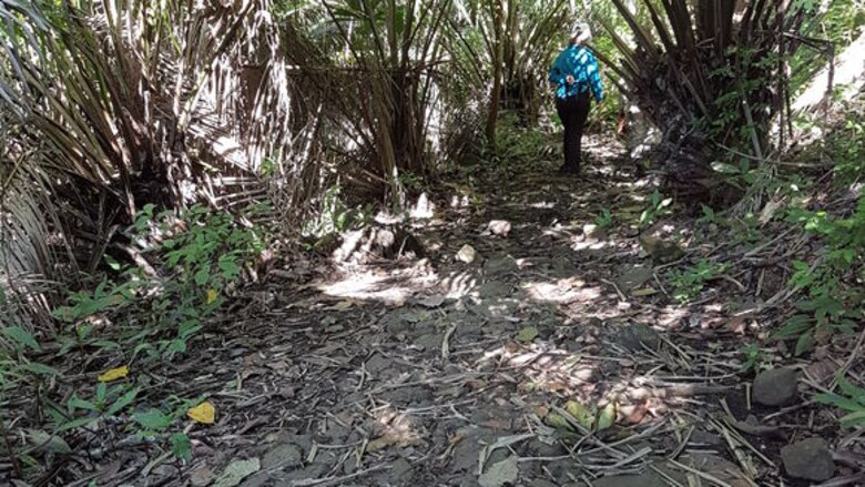 Los caminos ancestrales y el turismo moderno