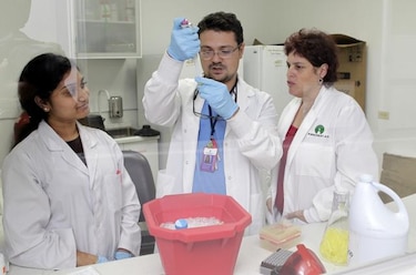 Nuevo estudio anuncia medicamento que promete cura para el mal de Chagas
