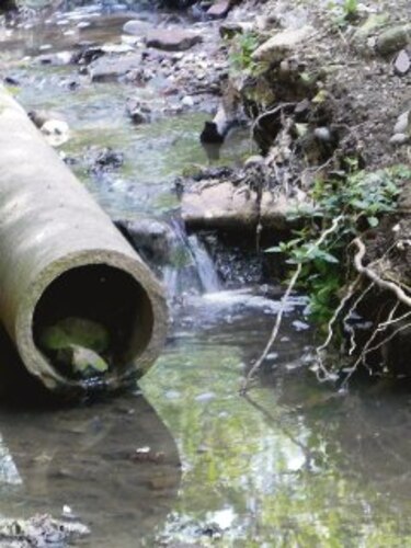 Aguas negras, insulto urbano
