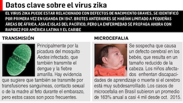 Brote de zika: OMS teme millones de enfermos en América
