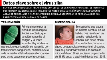 Brote de zika: OMS teme millones de enfermos en América