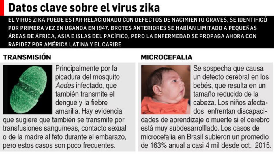 Brote de zika: OMS teme millones de enfermos en América