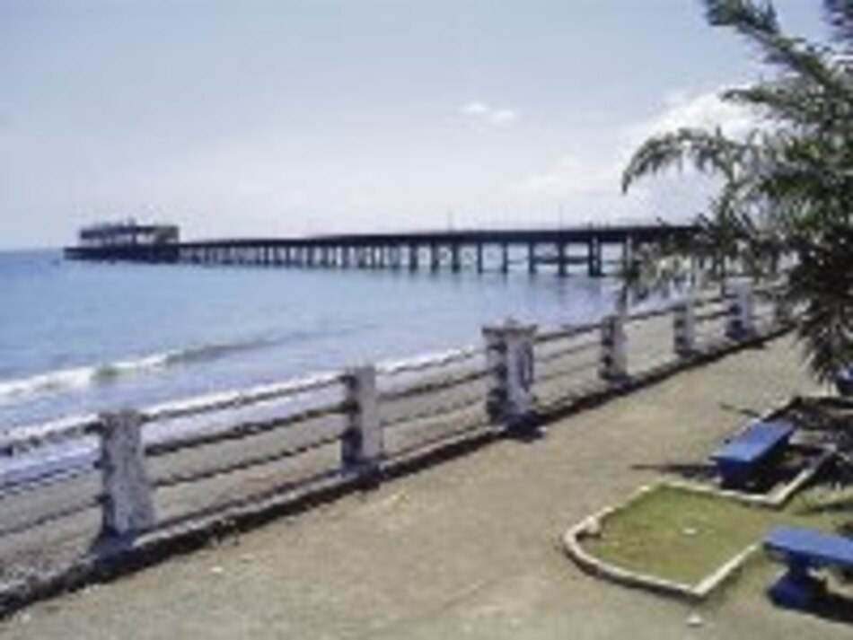 Futuro incierto para Puerto Armuelles