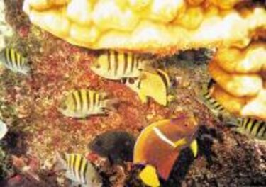 Un patrimonio con beneficios para todos