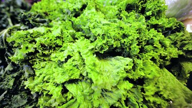 Retienen carga de lechuga