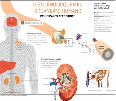 Desde que la muerte vino en jarabes, el infierno sigue vivo