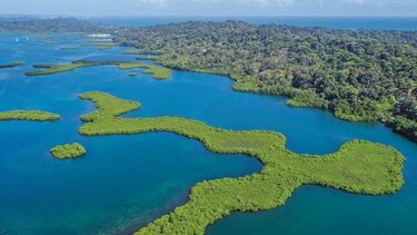 Los patrones y las formas que se dibujan desde la distancia