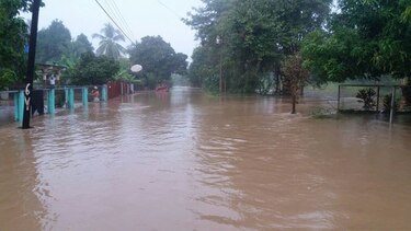 Constantes lluvias dejan daños en viviendas de 173 familias en tres provincias