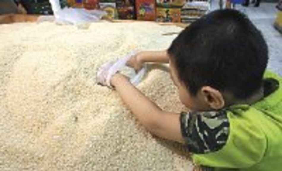 Precios del arroz podrían duplicarse para el 2008