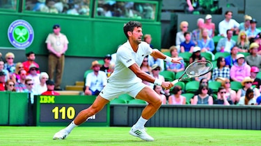 Djokovic y Del Potro avanzaron