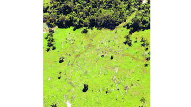 Brasil verá controles en compra de tierras