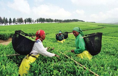 Banco Mundial: virus afectará el crecimiento