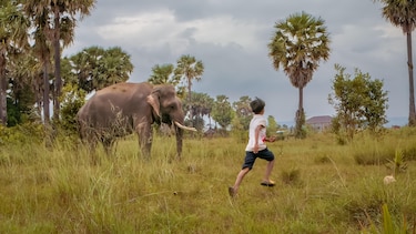 Cuáles son los animales más rápidos y dónde quedarían los humanos en una carrera con ellos