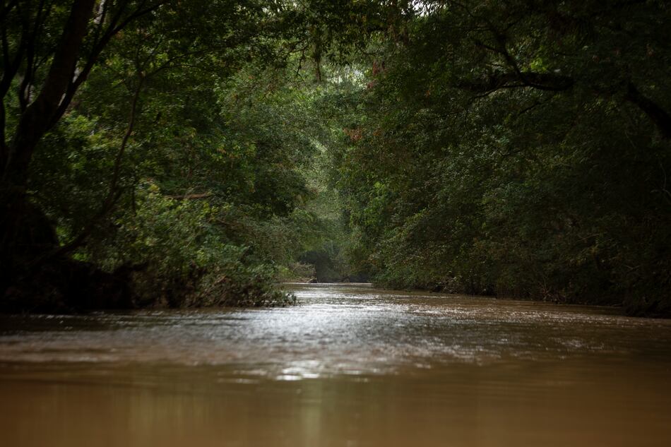 El caserío de Terial en el río Indio en 1963, según Robert Stewart