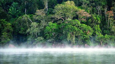 Alerta por el Amazonas