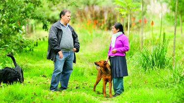 El agua es la sangre de la Tierra