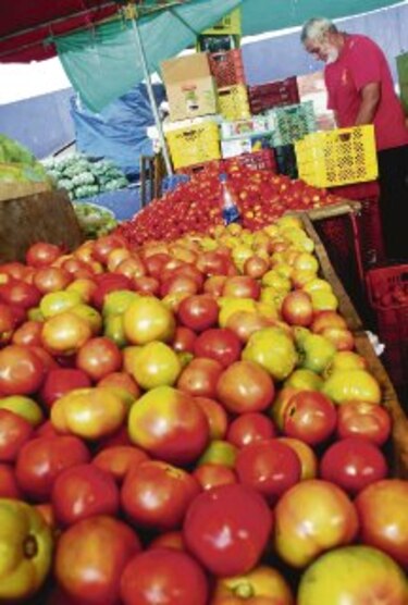 Libra de tomate rebasa el dólar en supermercados