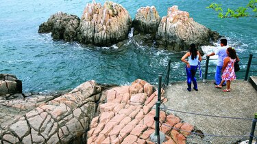 Maravillas del trópico