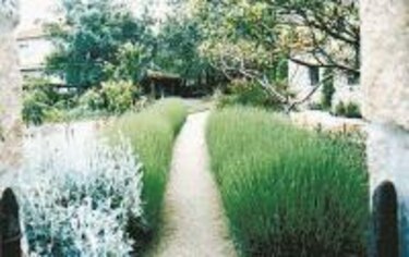 El criterio estético en el jardín
