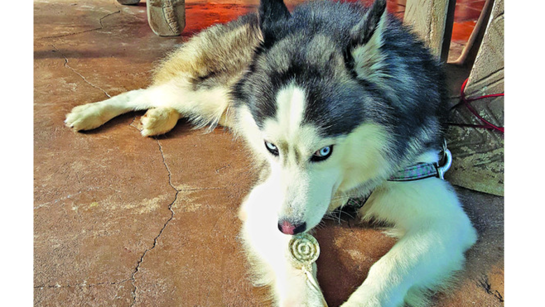 Orión, el futbolista