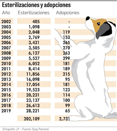 Al rescate de los animales maltratados