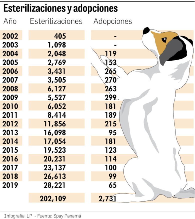 Al rescate de los animales maltratados