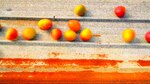 Mangos y botellas que transportan melodías