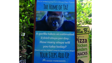 El zoológico de Atlanta: un hogar lleno de aprendizaje