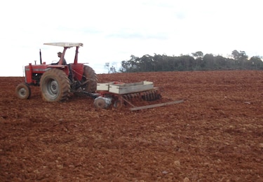 Crisis de Medio Oriente: FAO advierte caída del consumo y pérdida de poder adquisitivo global