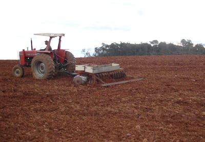 Crisis de Medio Oriente: FAO advierte caída del consumo y pérdida de poder adquisitivo global