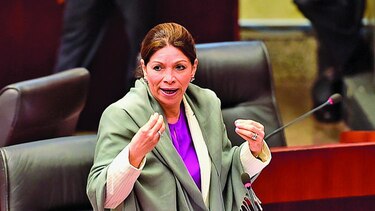 La oferta legislativa que proponen los diputados