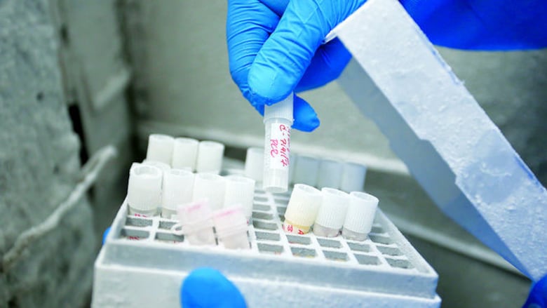 Sátelites y producción científica