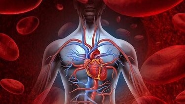 Caminata por la salud del corazón