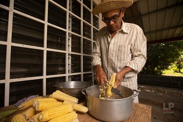 El benévolo maíz nuevo