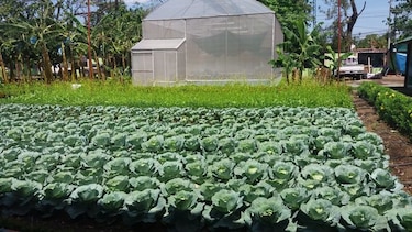 Feria Internacional de David dinamiza la economía en Chiriquí