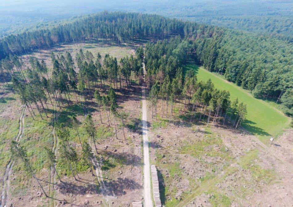 Unión Europea refuerza plan ambiental para bajar contaminación