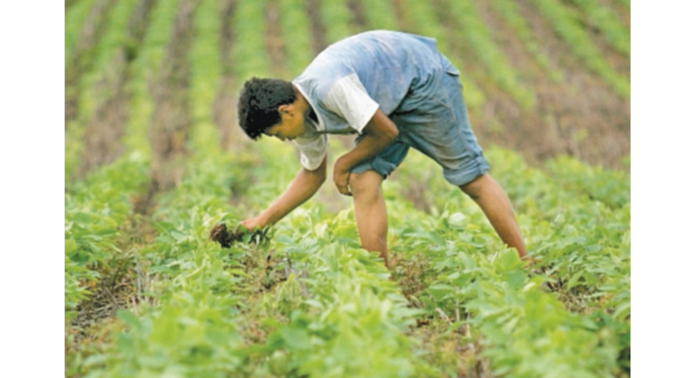 PIB de Bolivia creció 4.22% en 2018, menos de lo esperado