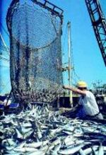 Los secretos de la pesca