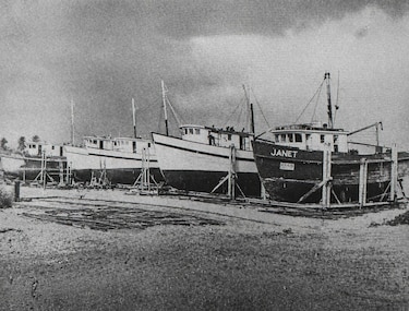 Del astillero al Coco Parque: el relato inédito del mar que San Francisco volvió a mirar