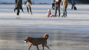 Tormentas de hielo y nieve azotan Europa